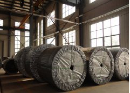 ENGLISH  /  /  JOBS_Shandong Phoebus Rubber Co., Ltd.
